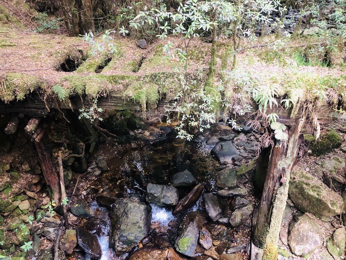 Montezuma falls hike 10
