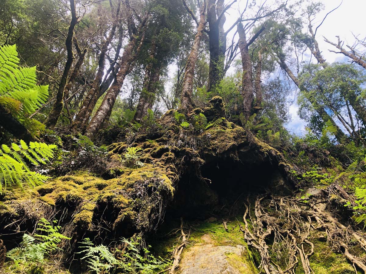 Montezuma falls hike 16