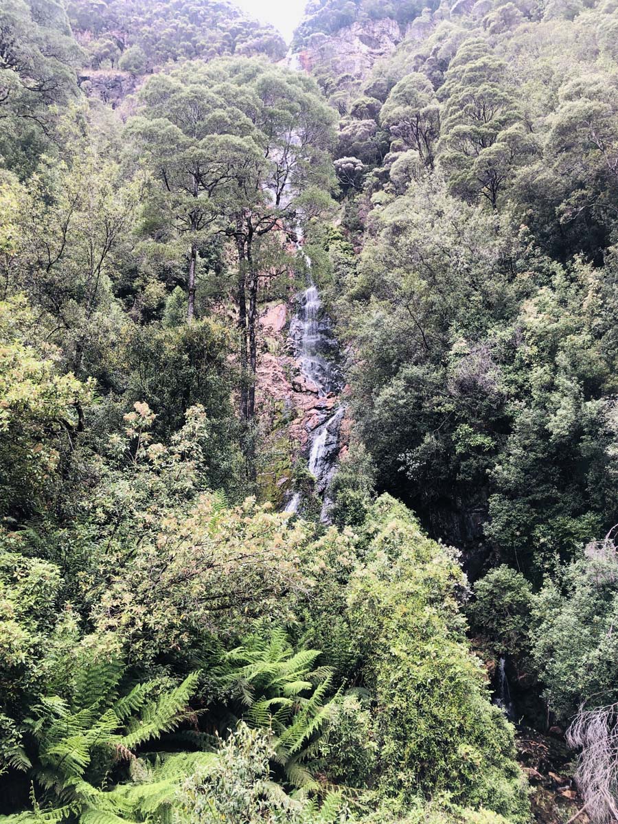 Montezuma falls hike 24