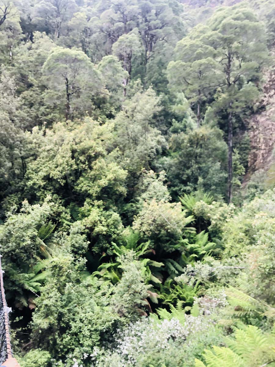 Montezuma falls hike 26