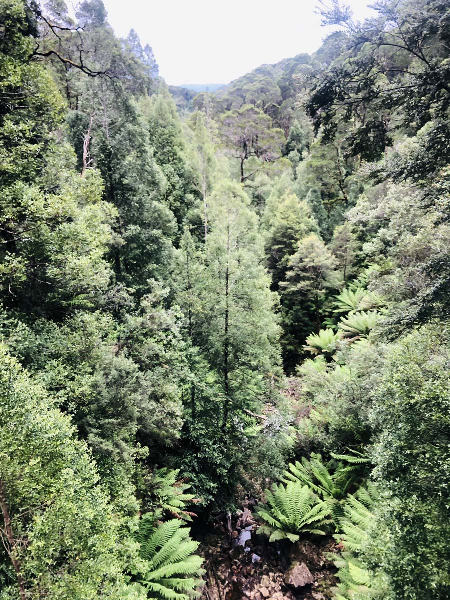 Montezuma falls hike 27