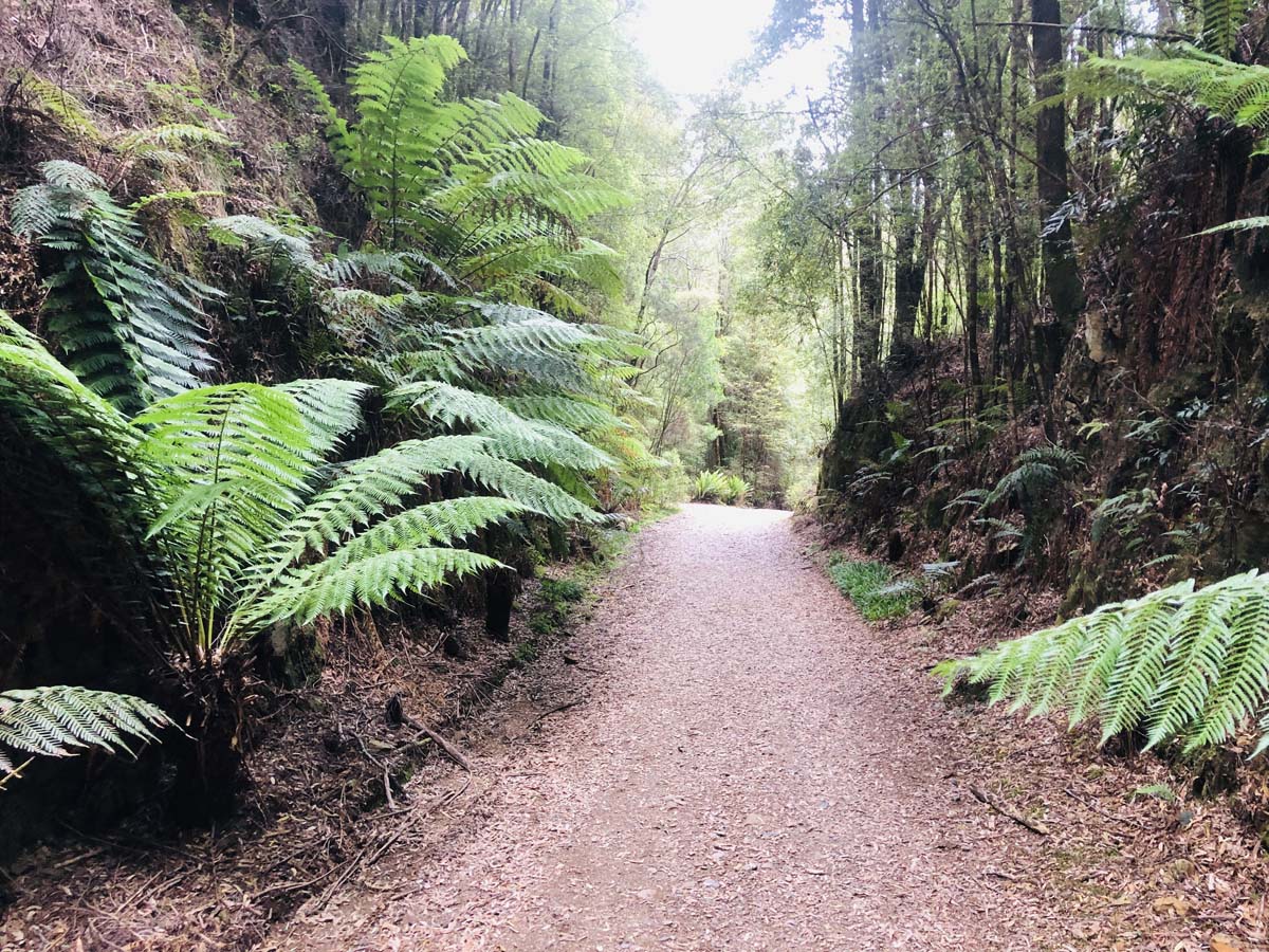 Montezuma falls hike 3