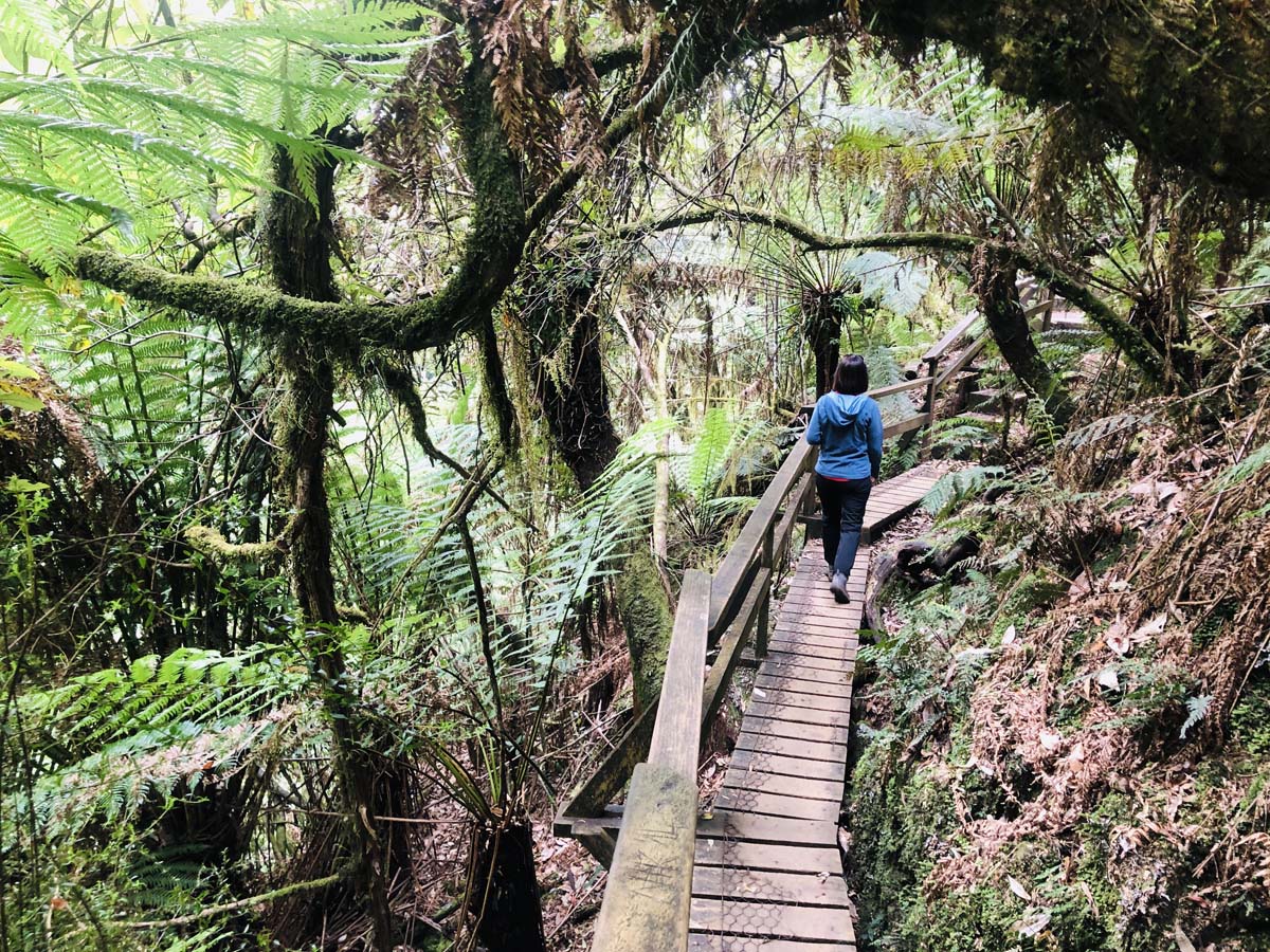 Montezuma falls hike 32