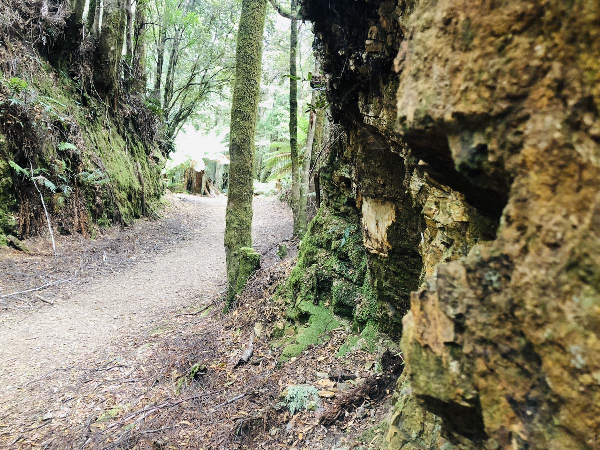 Montezuma falls hike 41