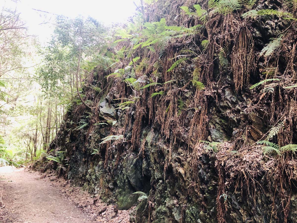 Montezuma falls hike 6