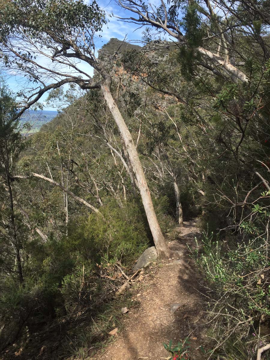 Mount abrupt hike 1