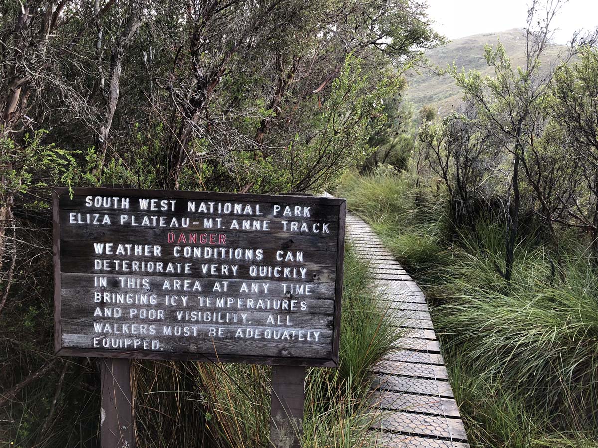 Mount anne day walk 1