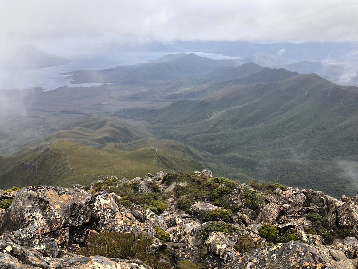 Mount anne day walk 19