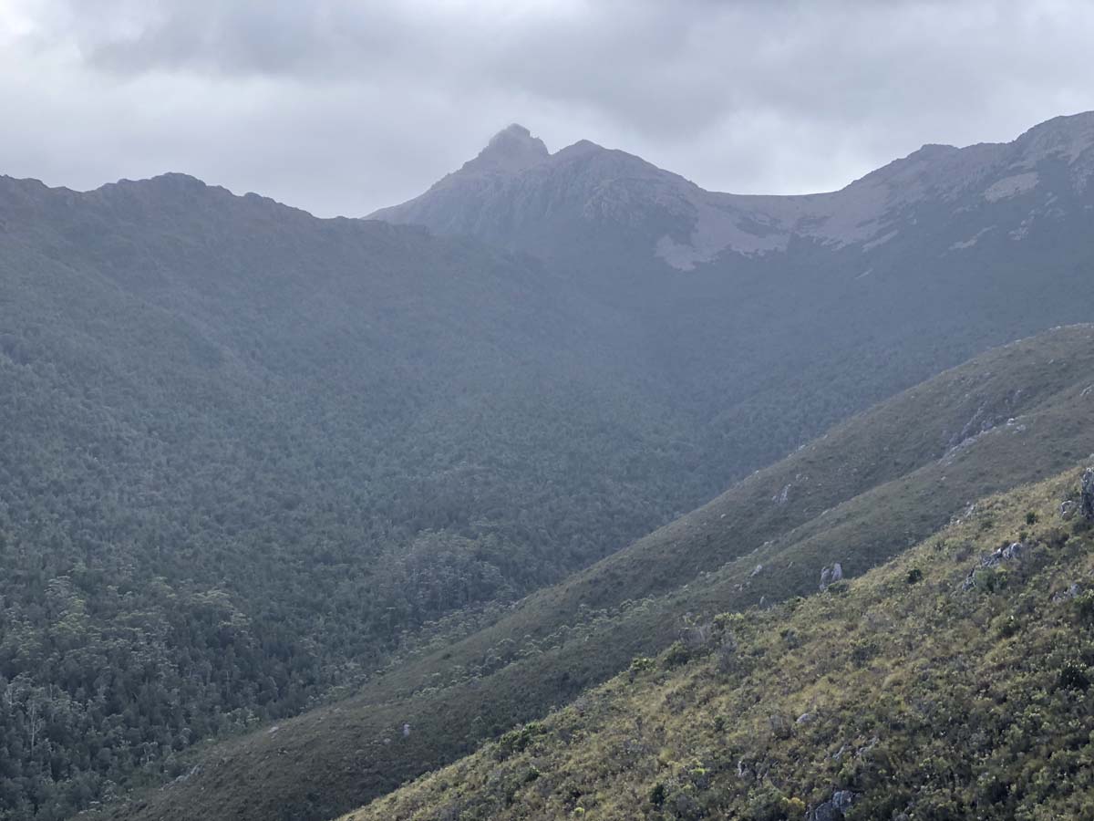 Mount anne day walk 9
