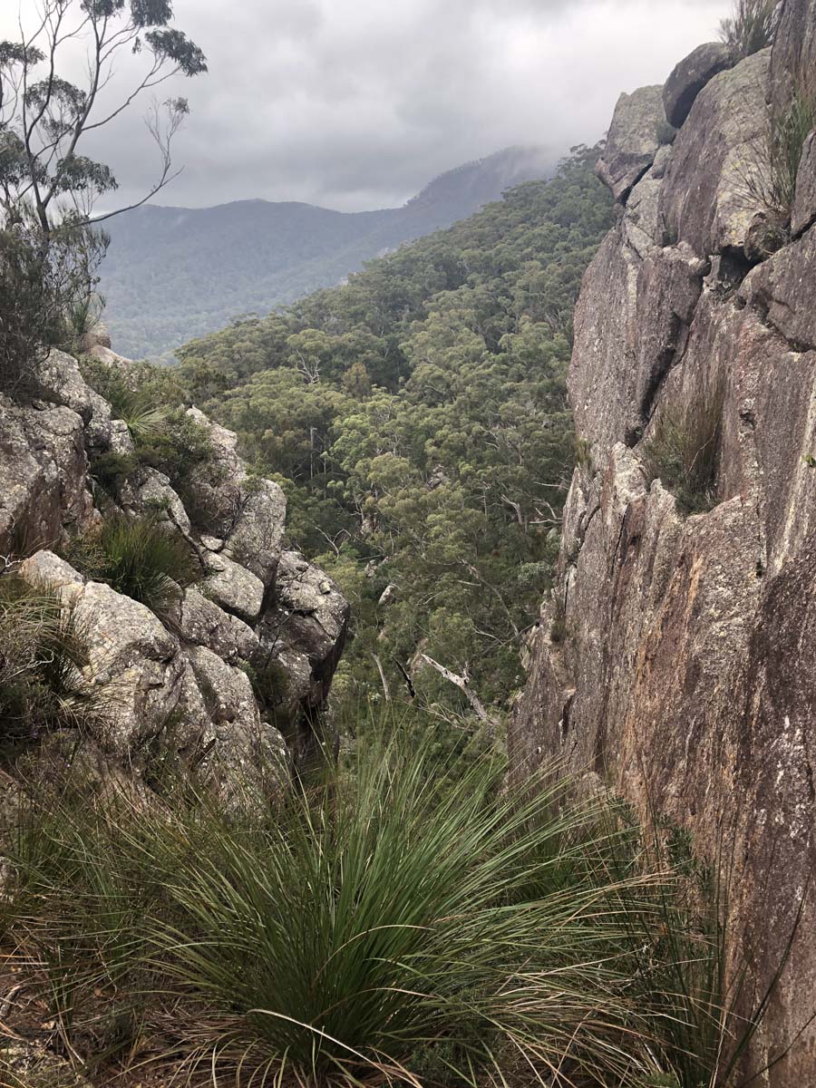 Mount barney summit hike 11