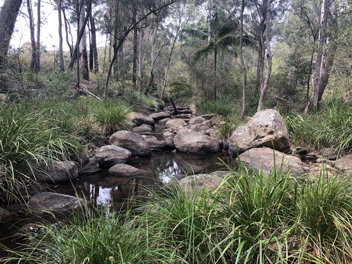 Mount barney summit hike 13