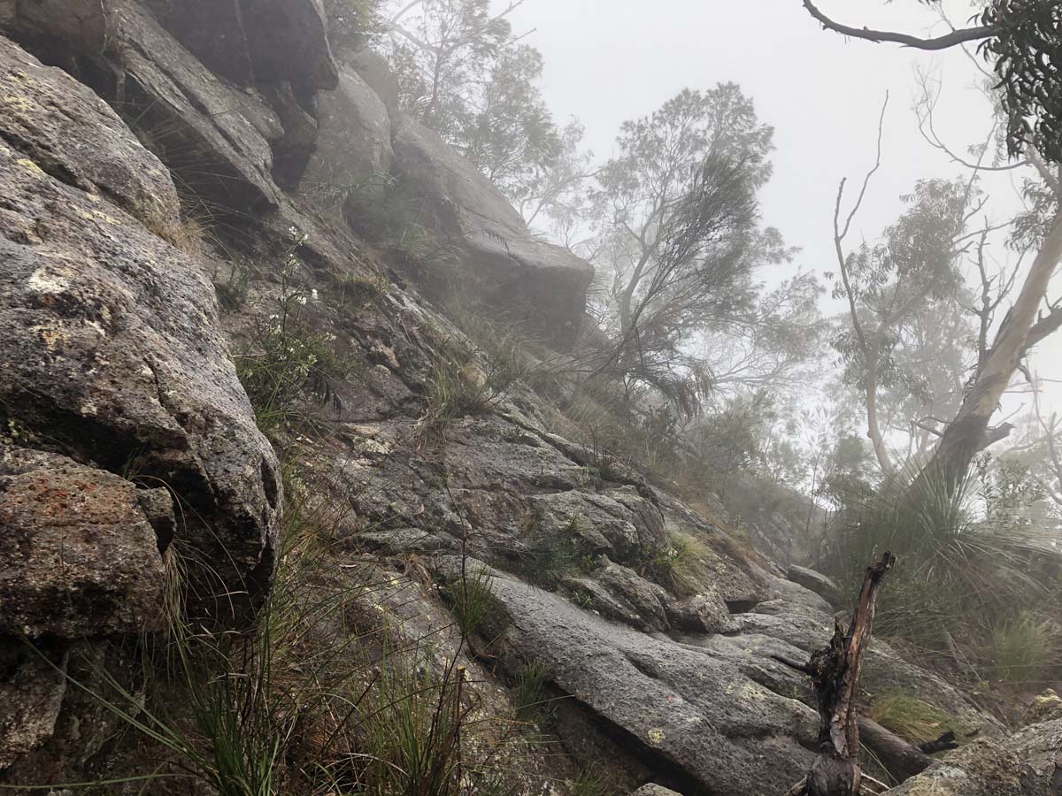 Mount barney summit hike 27