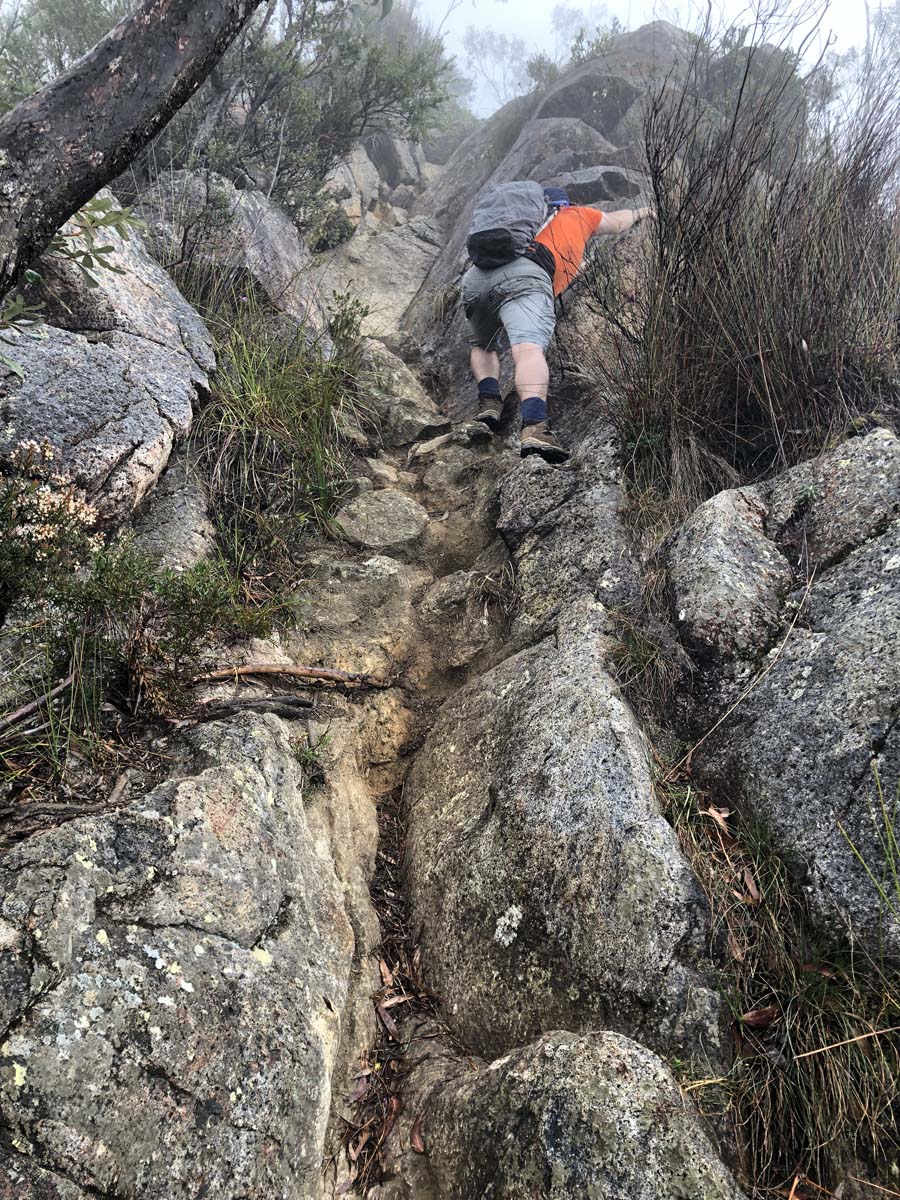Mount barney summit hike 33