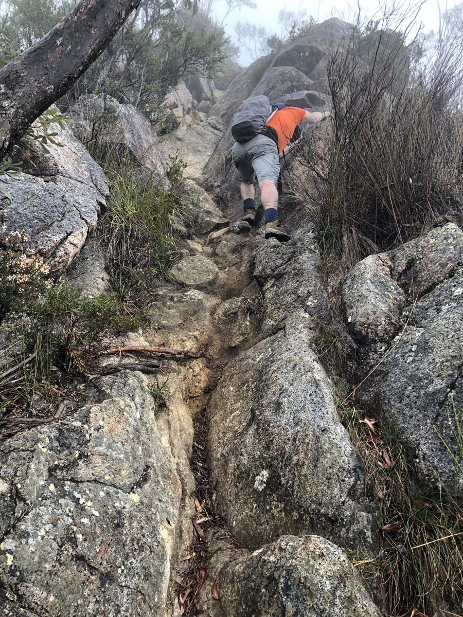 Mount barney summit hike 34