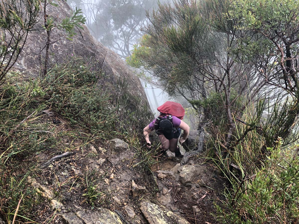 Mount barney summit hike 38