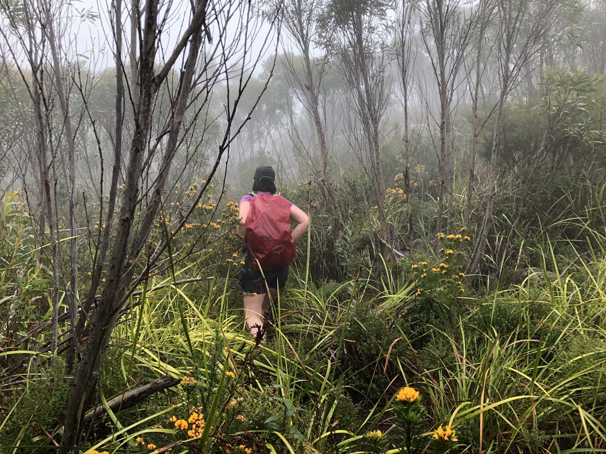 Mount barney summit hike 48