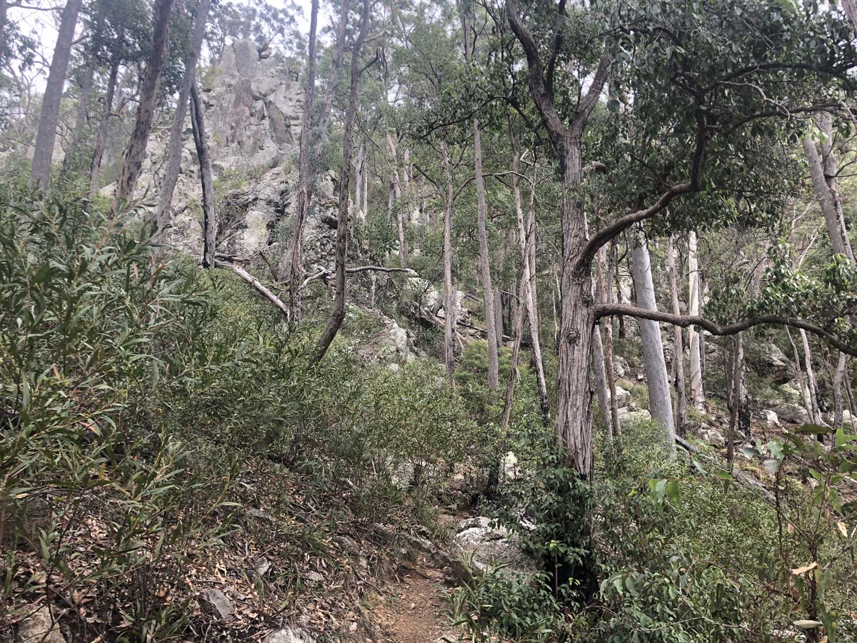 Mount barney summit hike 57