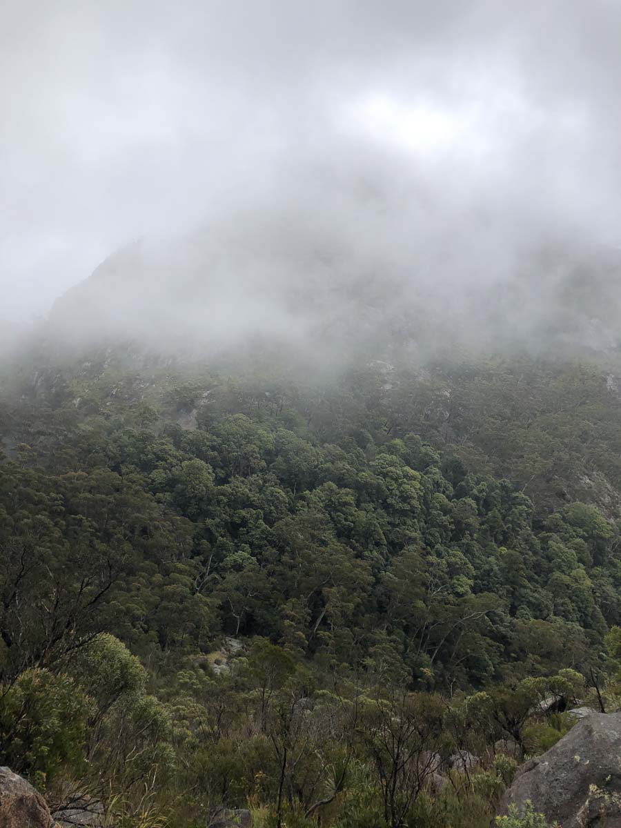 Mount barney summit hike 62
