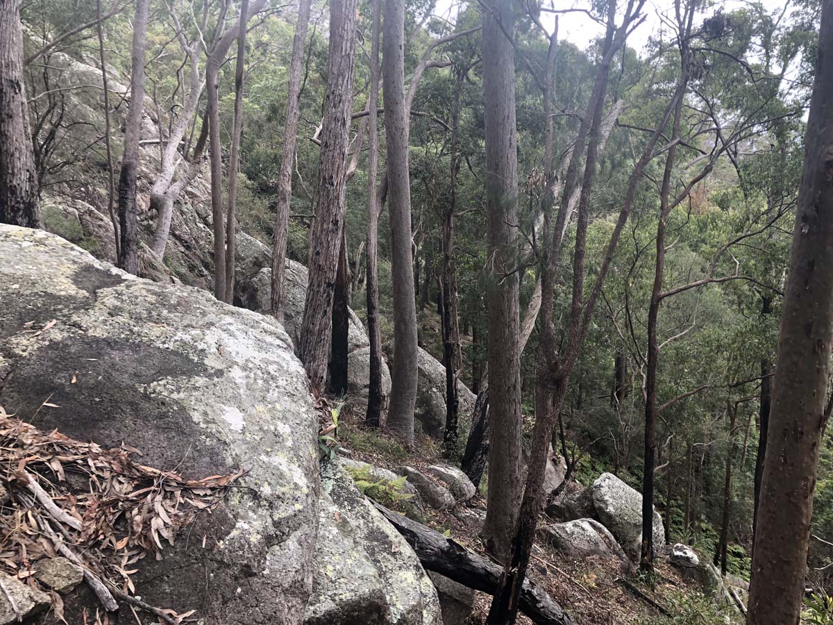 Mount barney summit hike 68