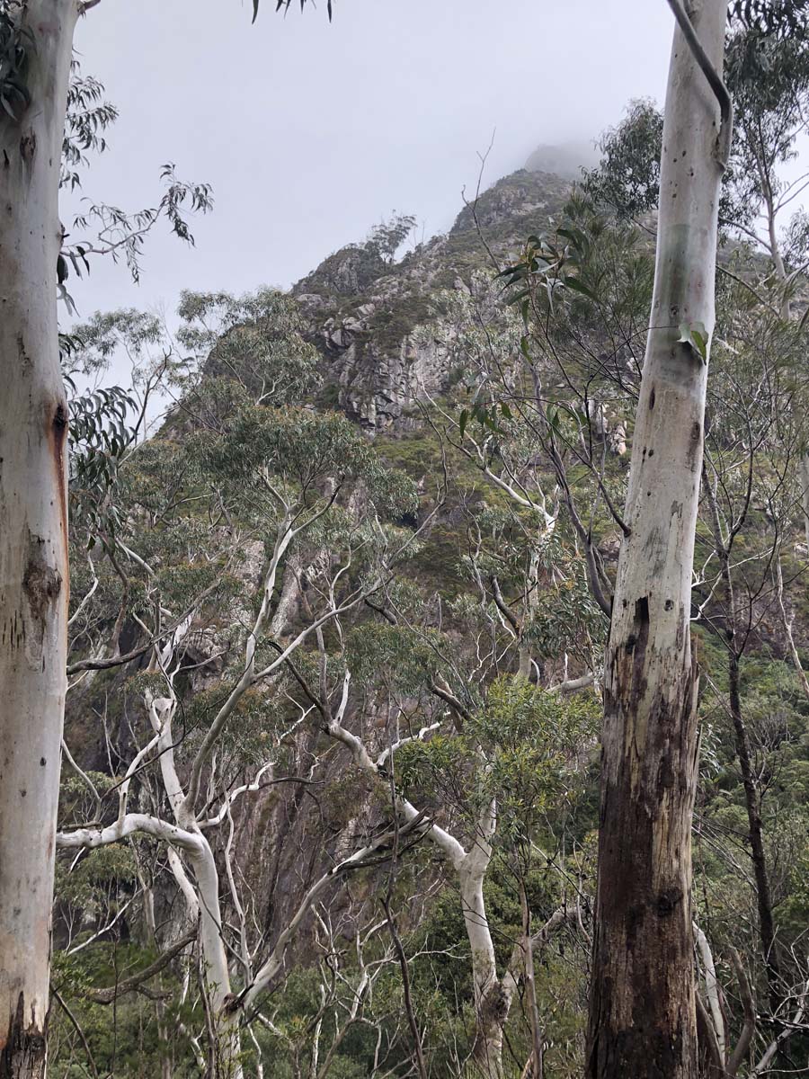 Mount barney summit hike 72