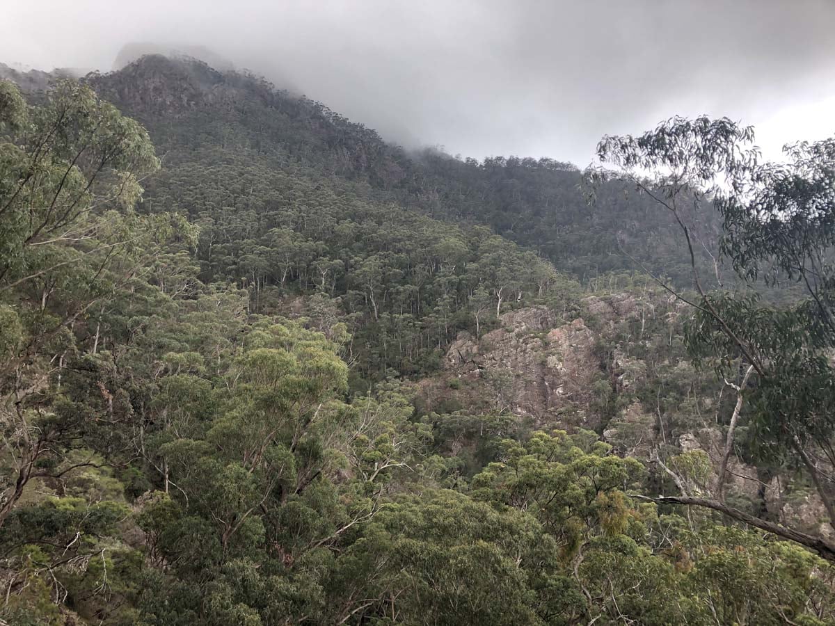 Mount barney summit hike 85