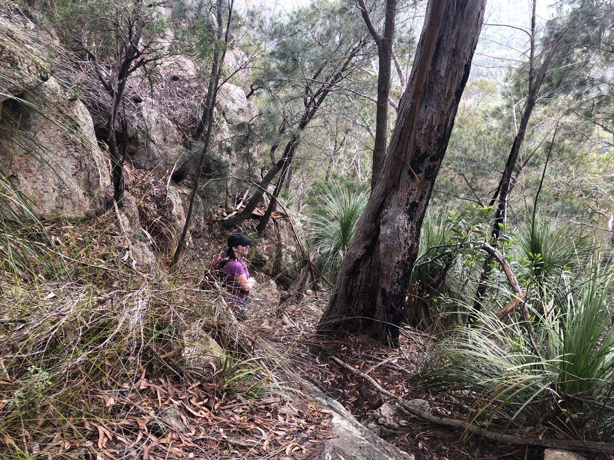 Mount barney summit hike 87