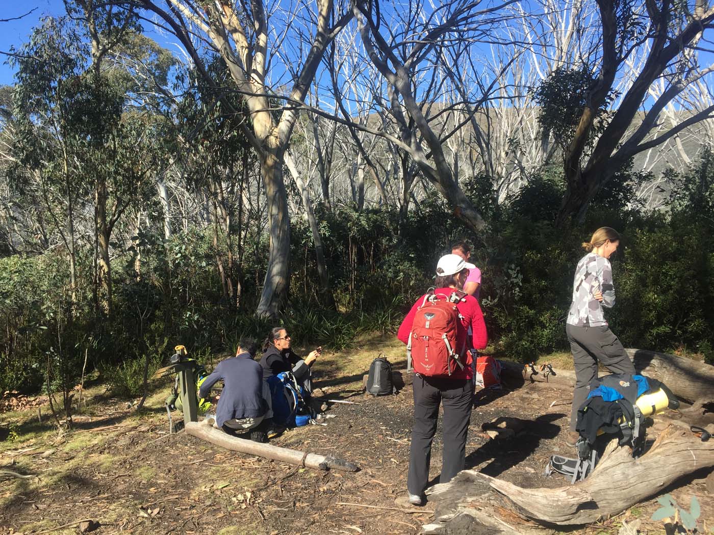 Mount beauty to harrietville alpine traverse (7)