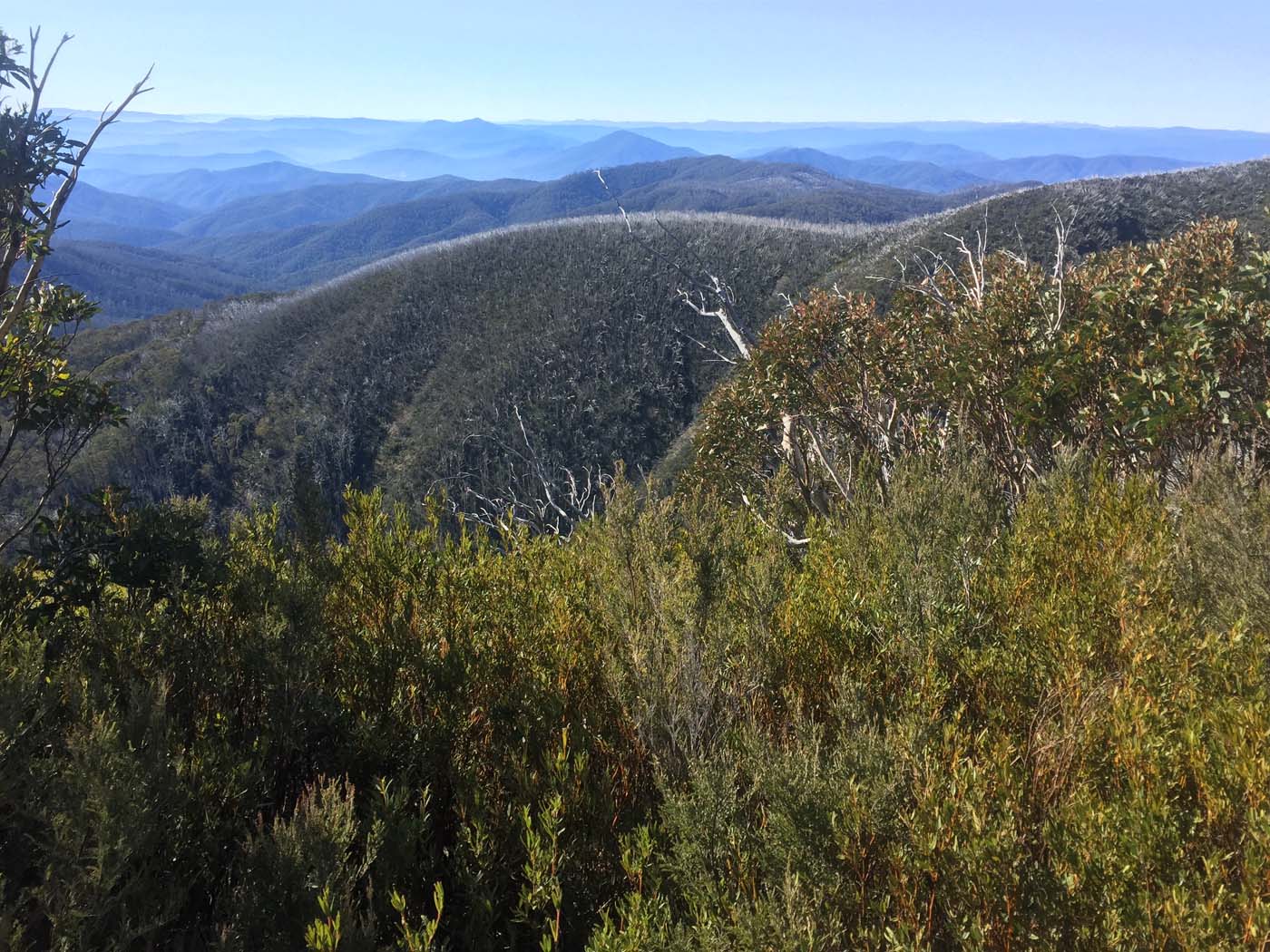 Mount beauty to harrietville alpine traverse (8)
