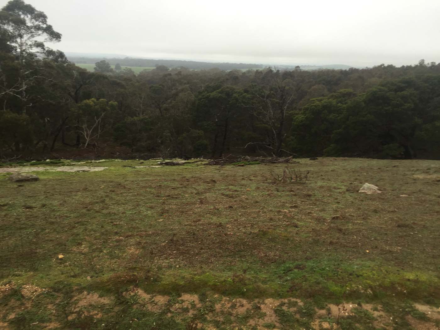 Mount beckworth scenic reserve (2)