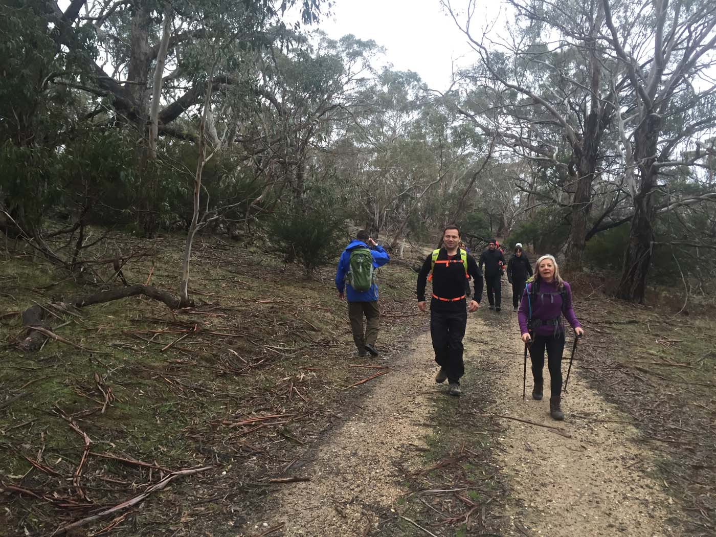 Mount beckworth scenic reserve (1)