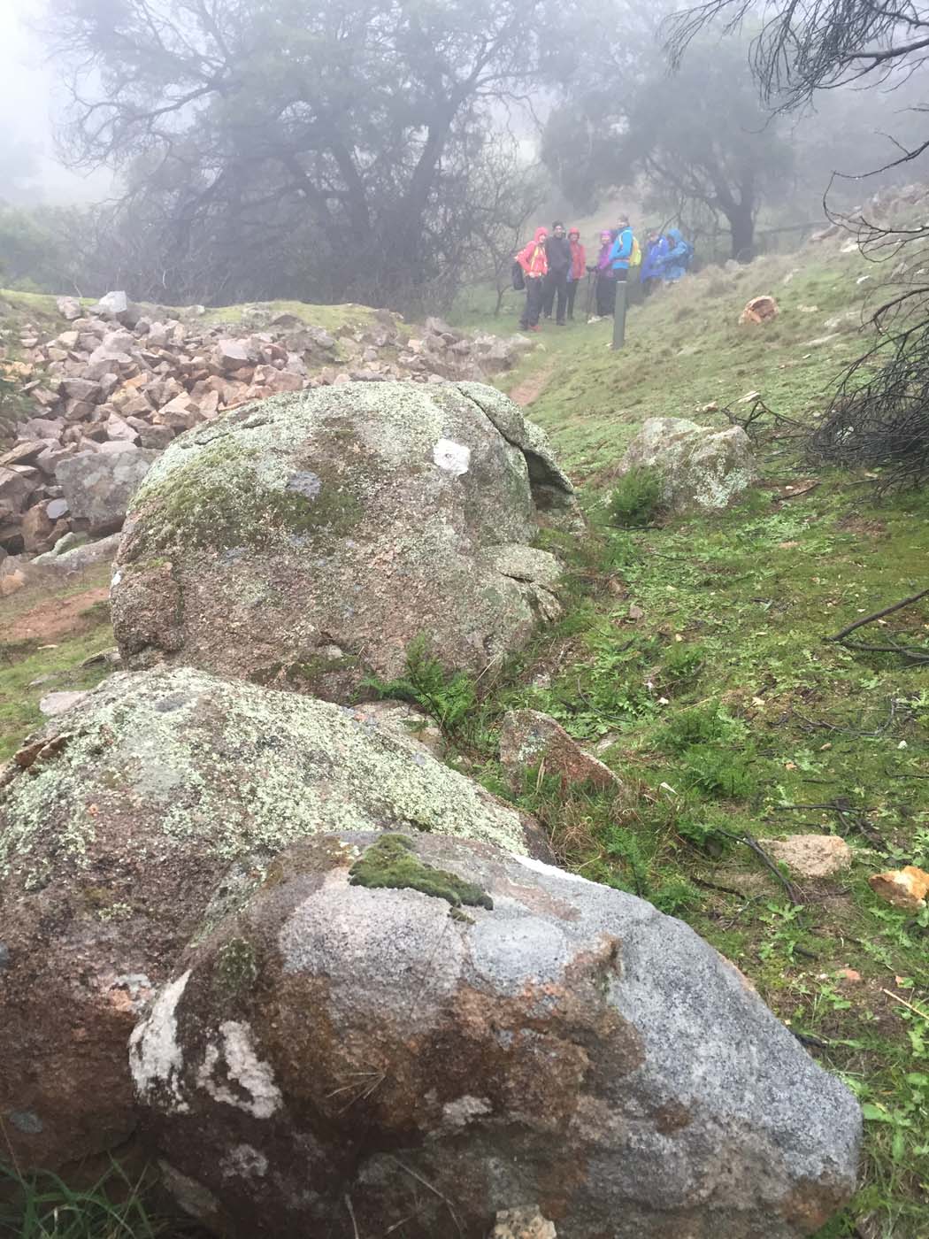 Mount beckworth scenic reserve (10)