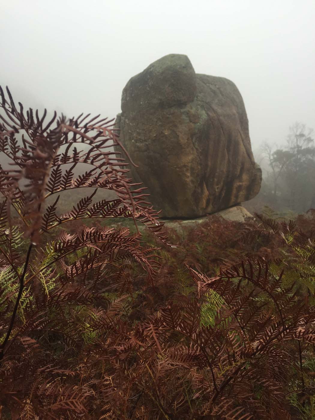 Mount beckworth scenic reserve (12)