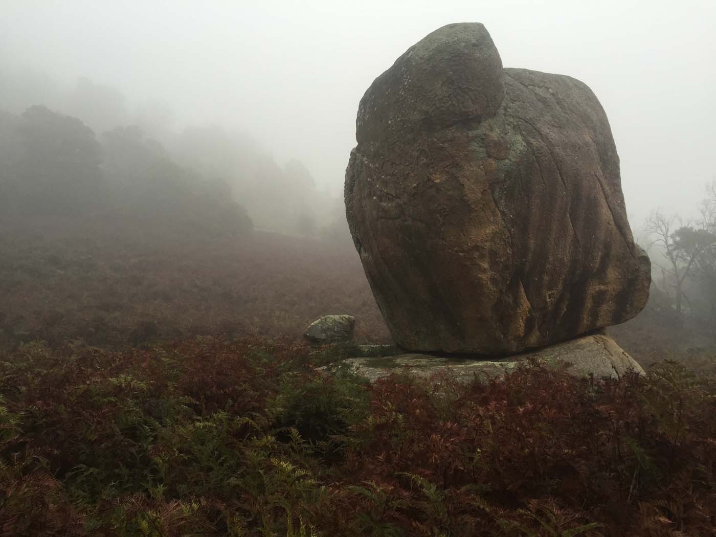 Mount beckworth scenic reserve (13)