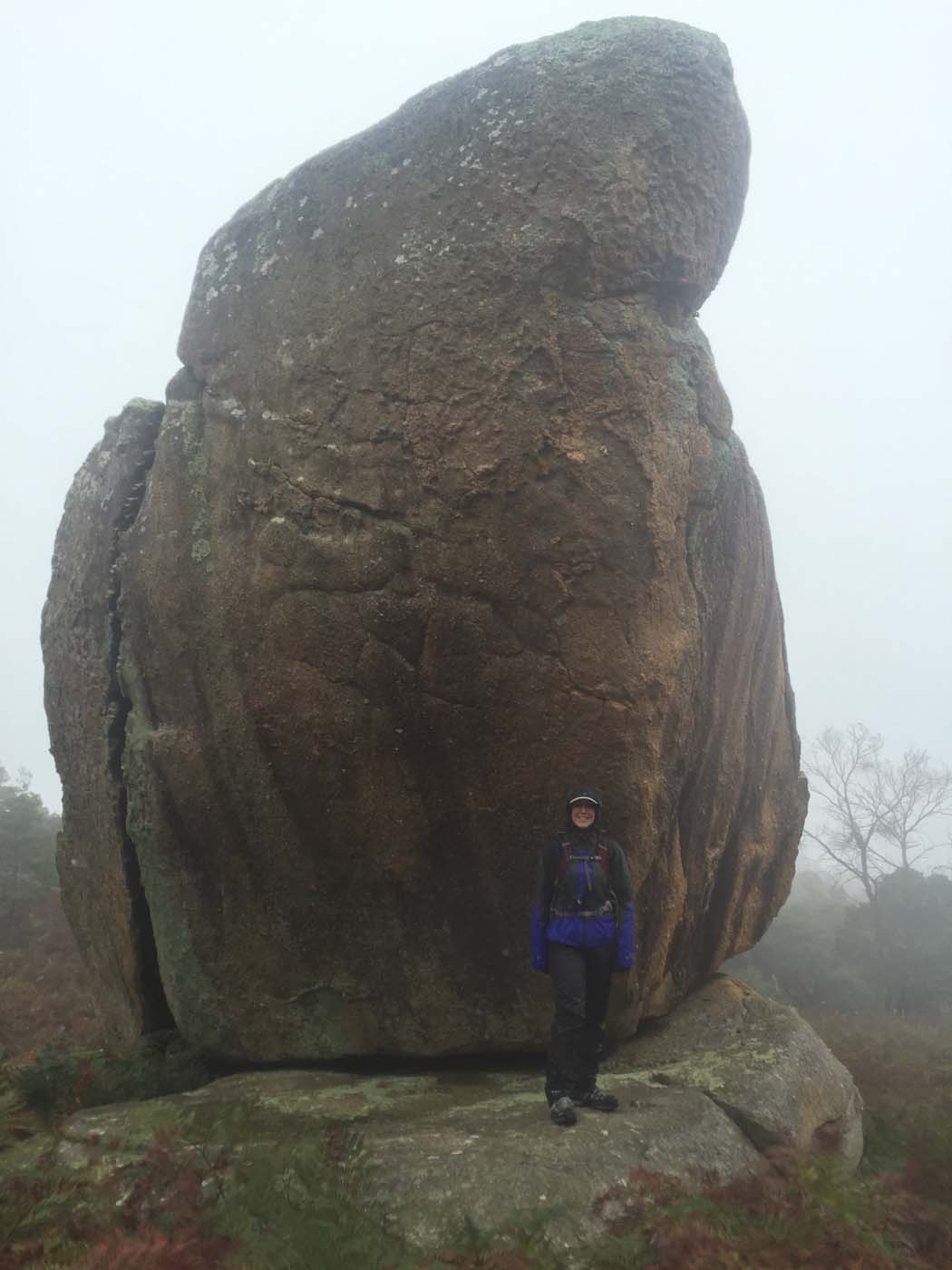 Mount beckworth scenic reserve (14)