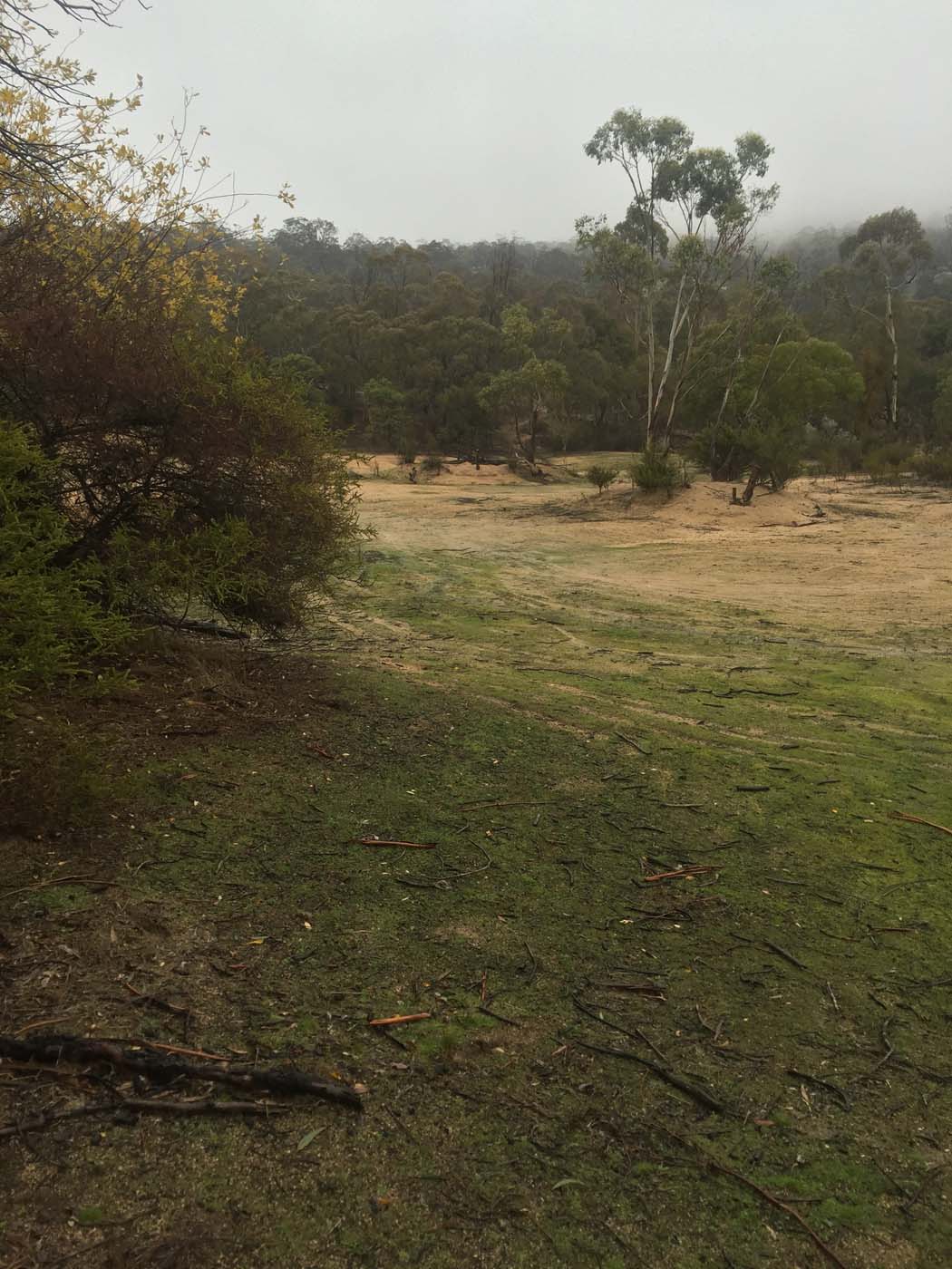 Mount beckworth scenic reserve (15)