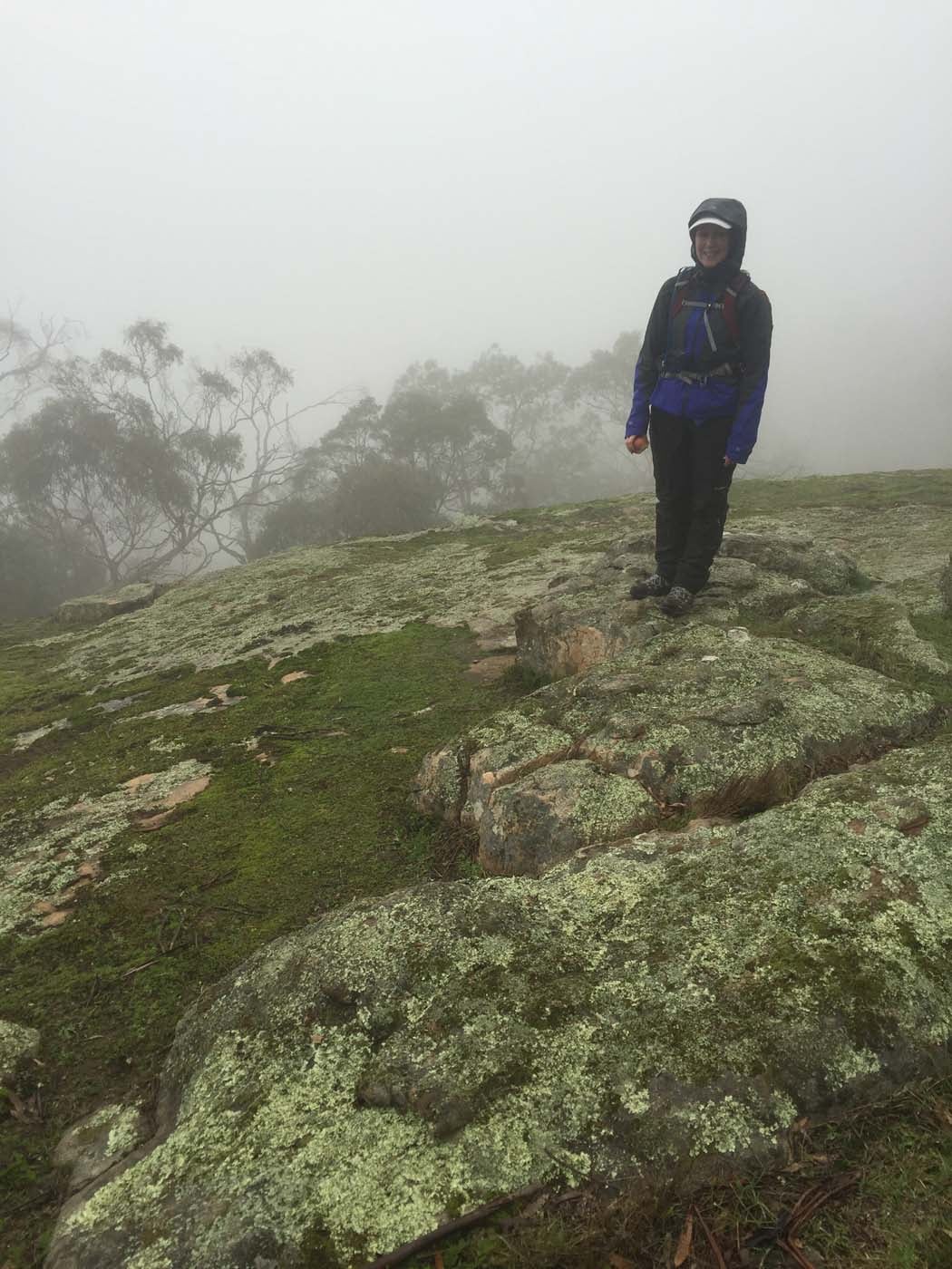 Mount beckworth scenic reserve (5)