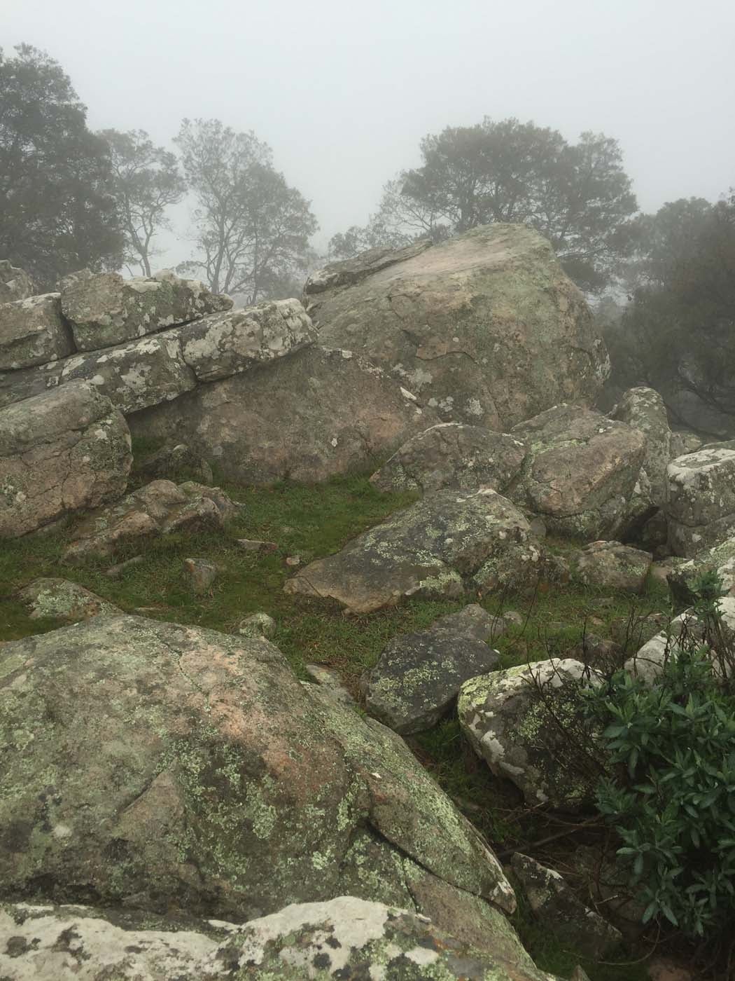 Mount beckworth scenic reserve (6)