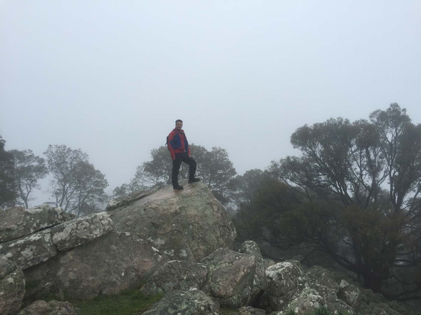 Mount beckworth scenic reserve (7)