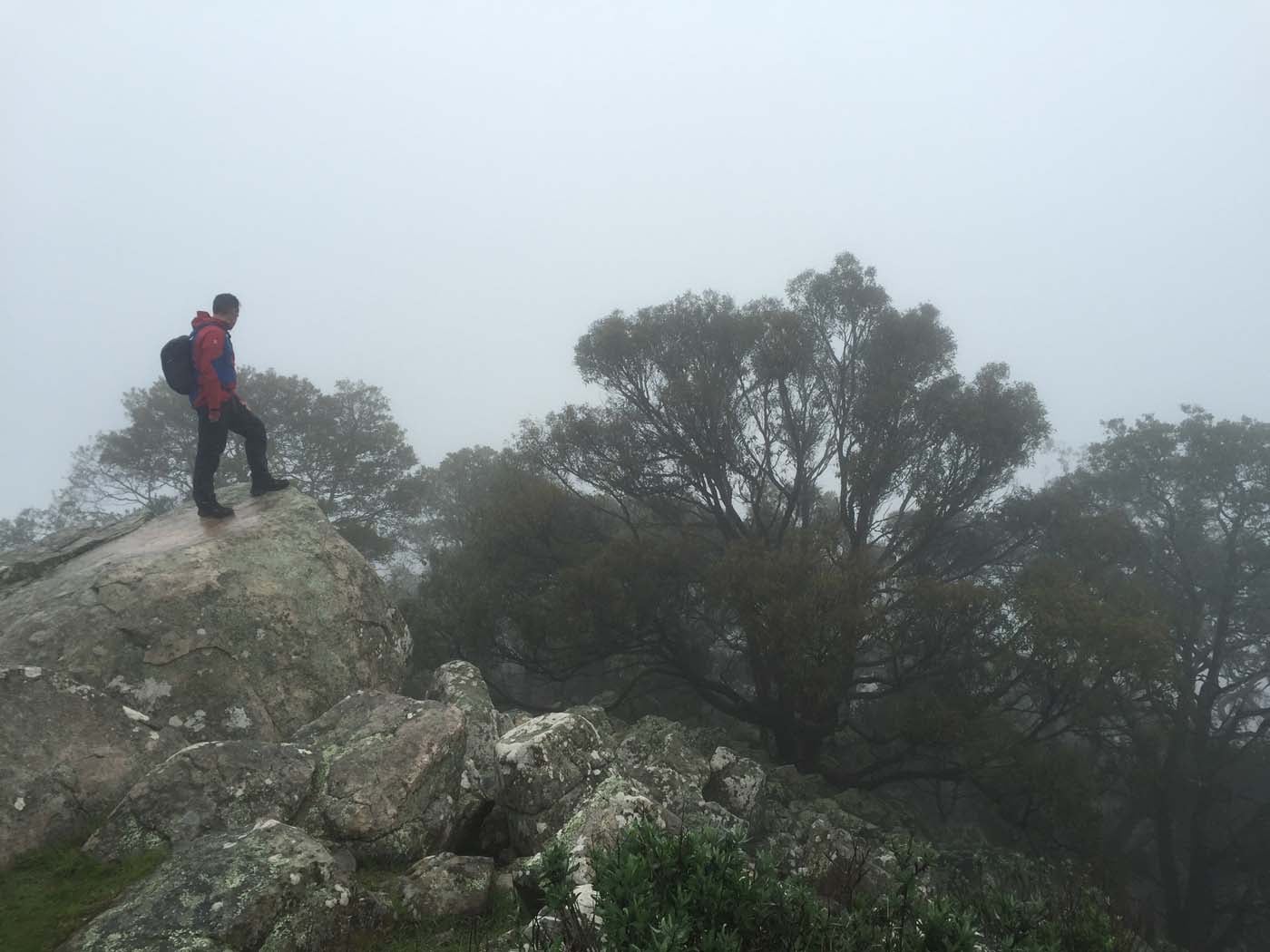 Mount beckworth scenic reserve (8)