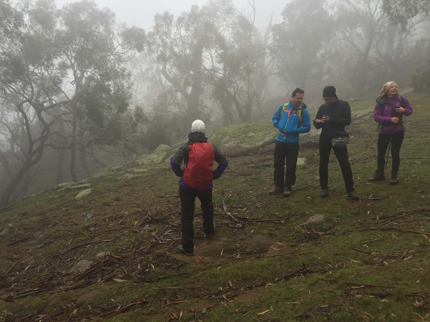 Mount beckworth scenic reserve (4)