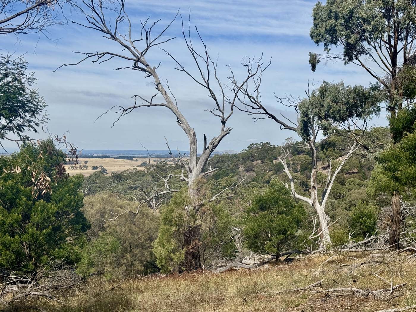 Mount beckworth southern circuit (1)