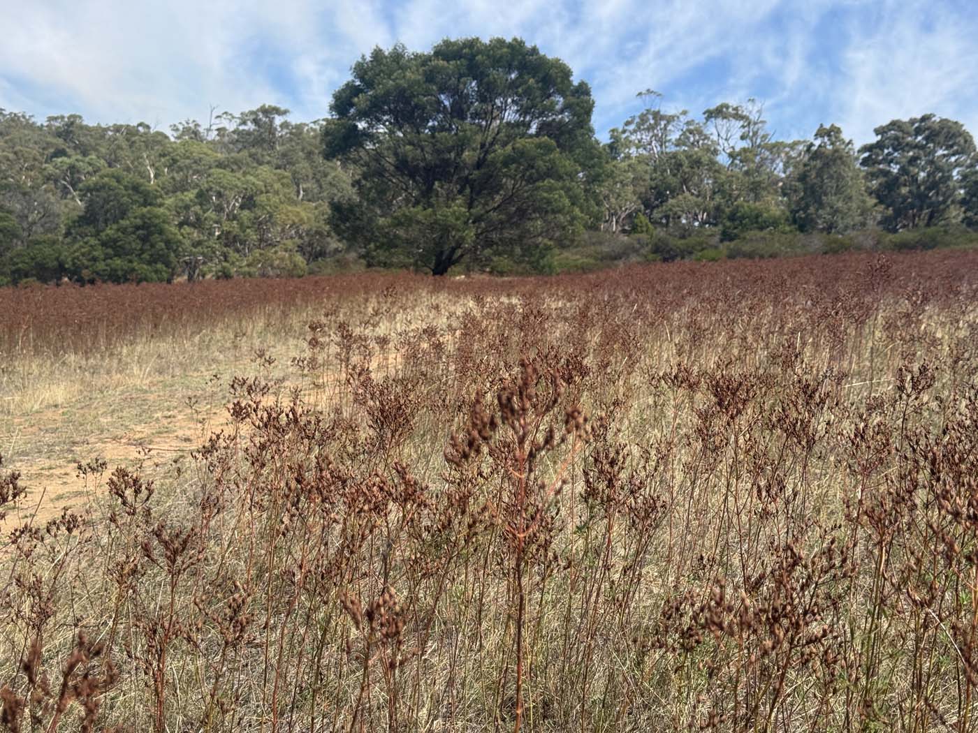 Mount beckworth southern circuit (3) 1