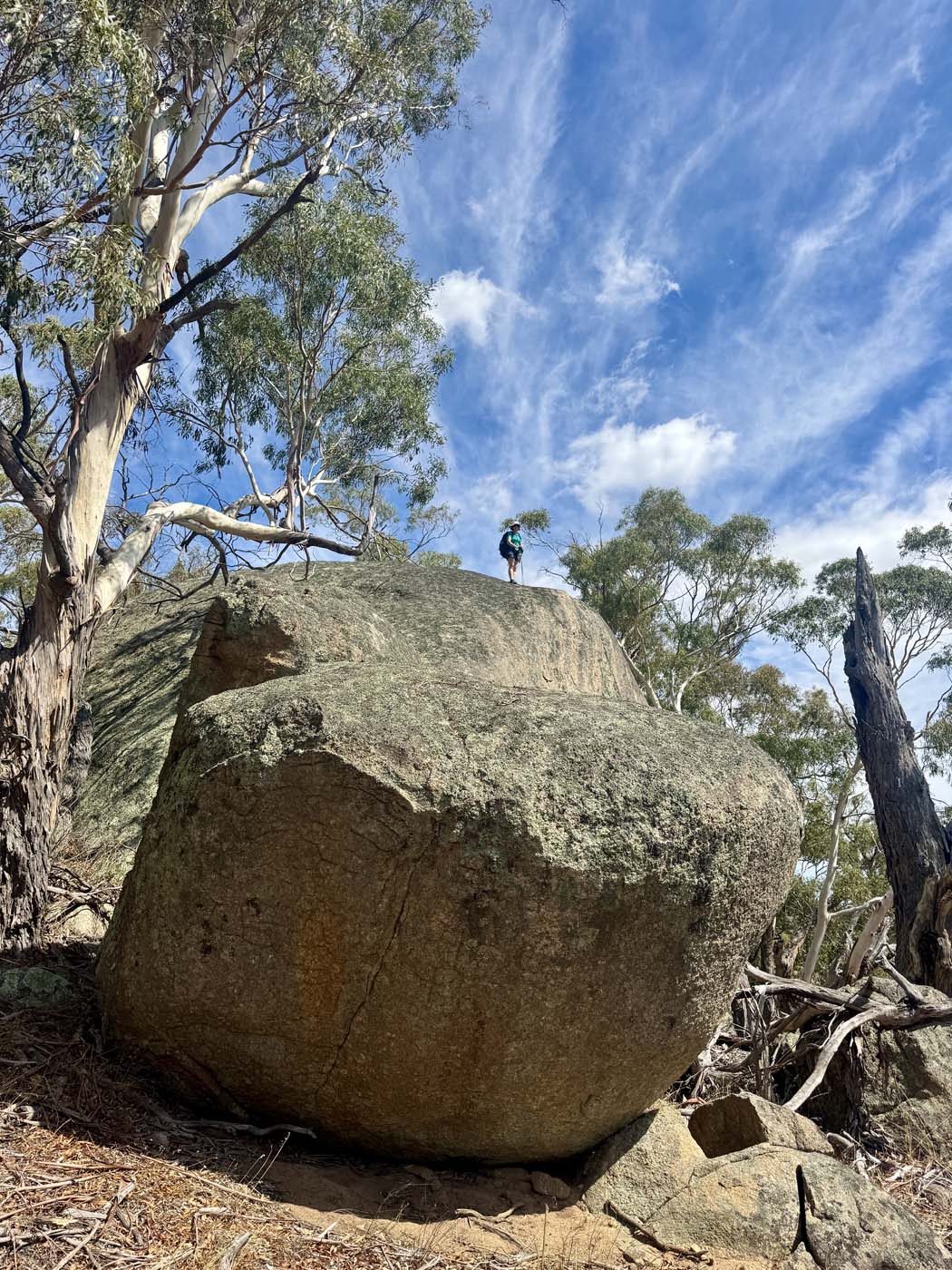 Mount beckworth southern circuit (4)