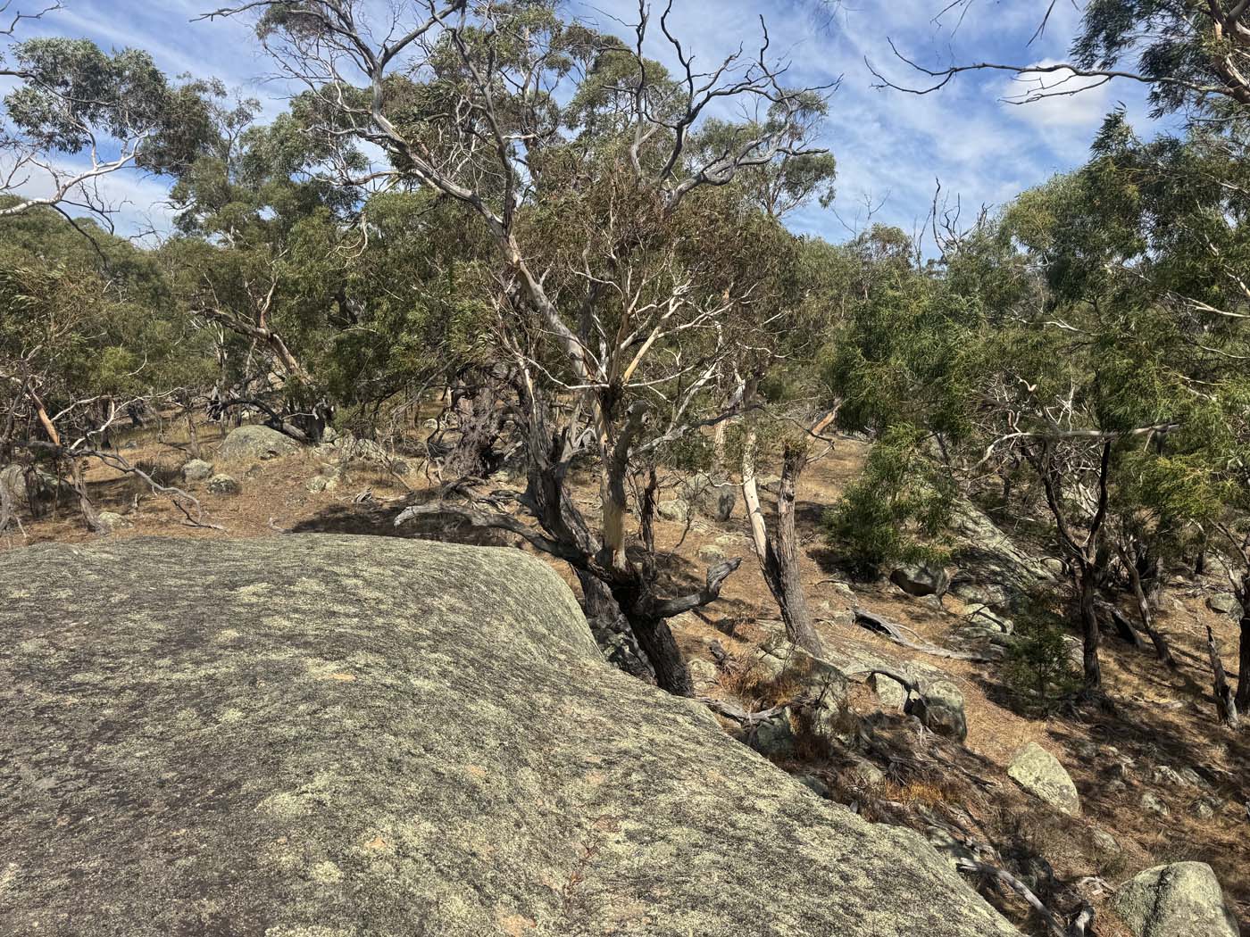 Mount beckworth southern circuit (4) 1