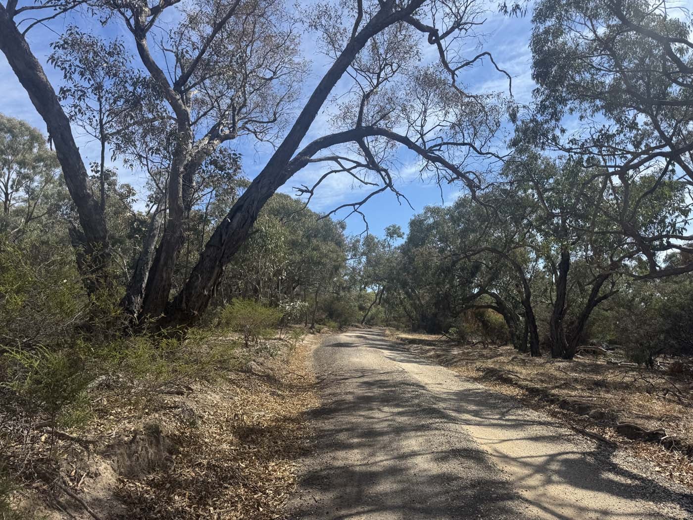 Mount beckworth southern circuit (7) 1