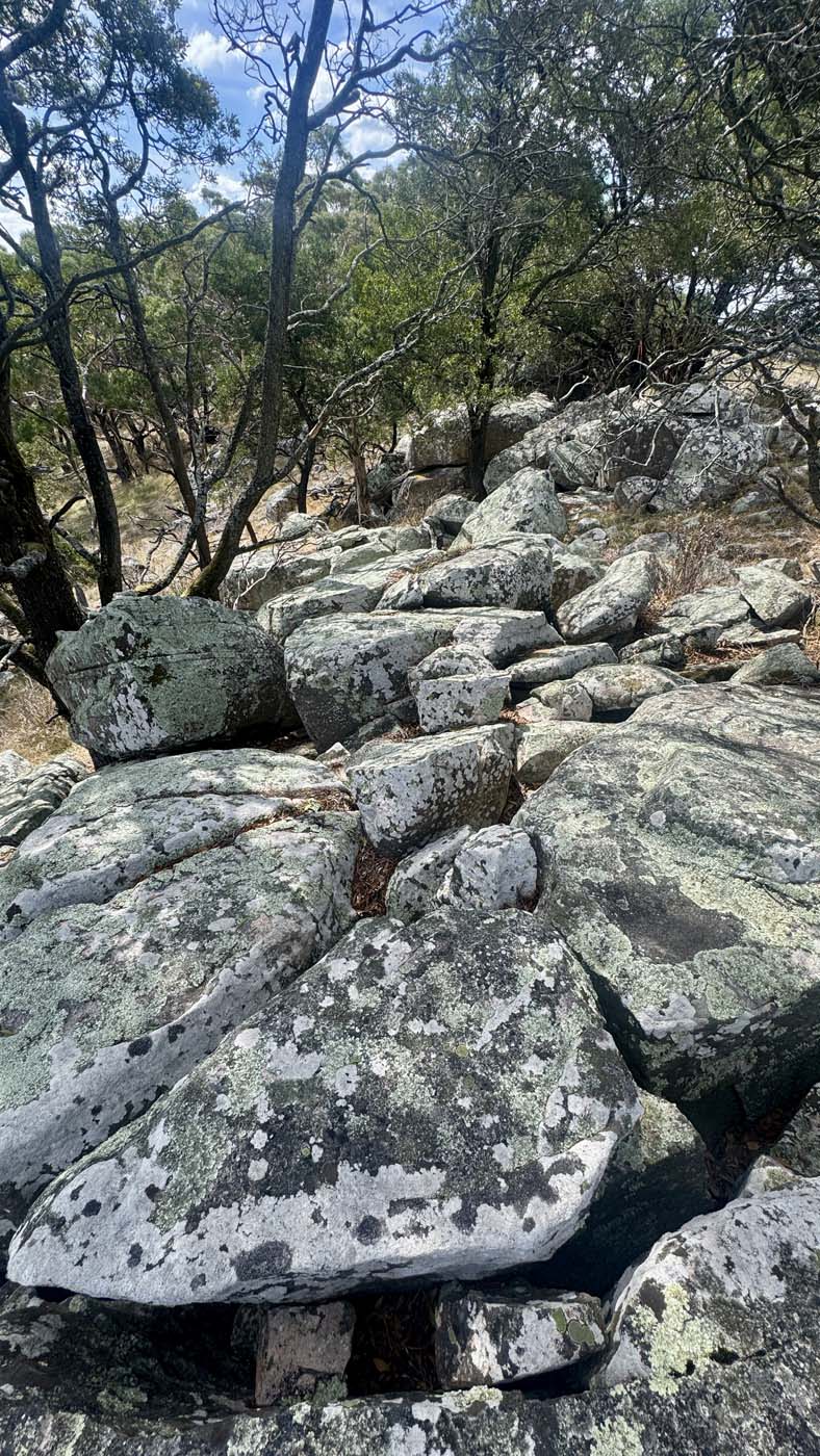 Mount beckworth southern circuit (8)