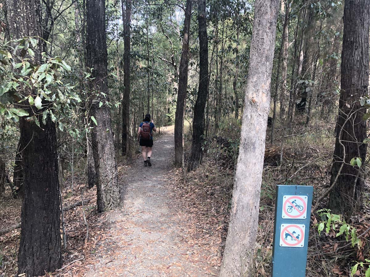 Mount beerwah summit walk 1