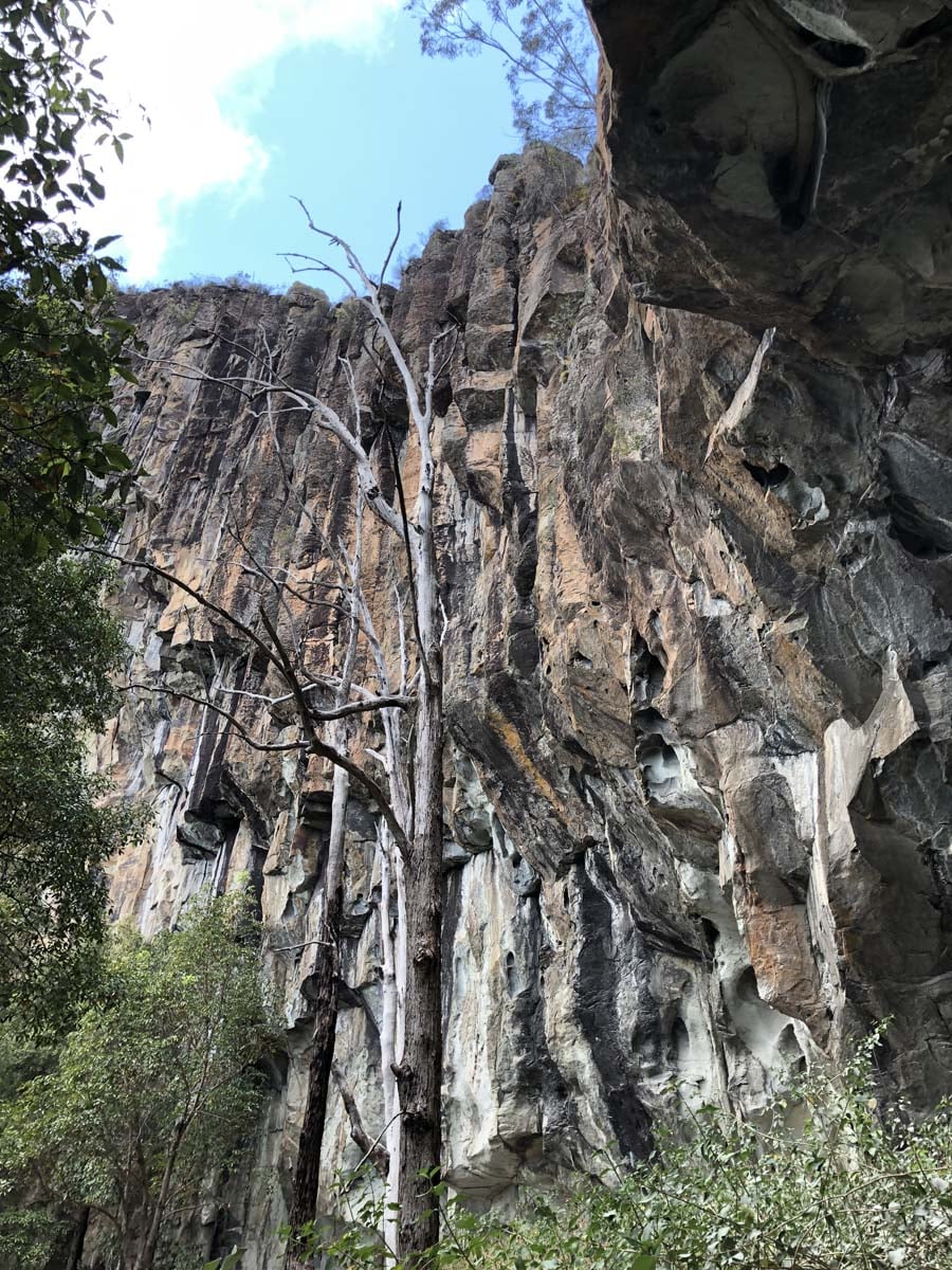 Mount beerwah summit walk 22