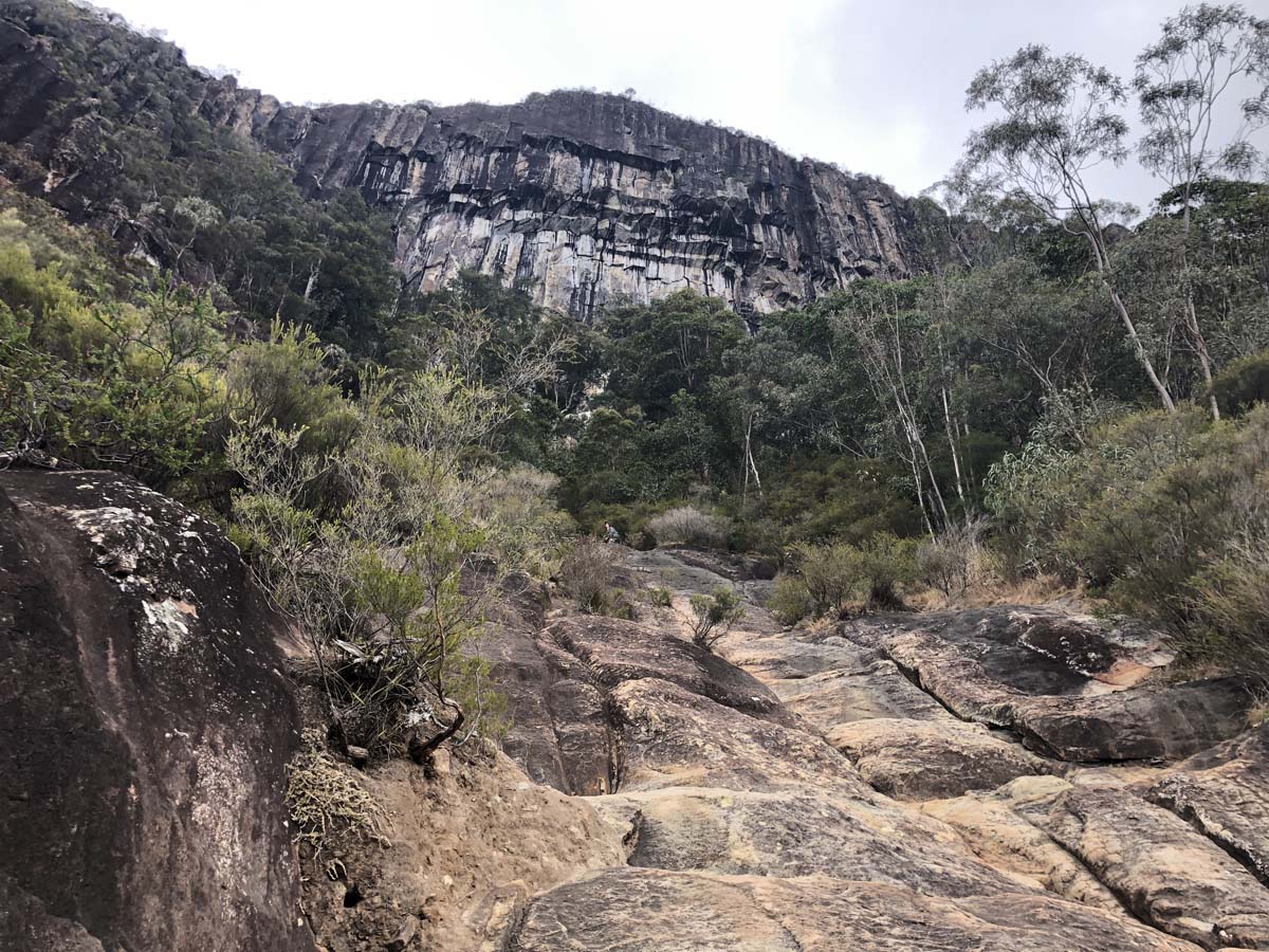 Mount beerwah summit walk 47