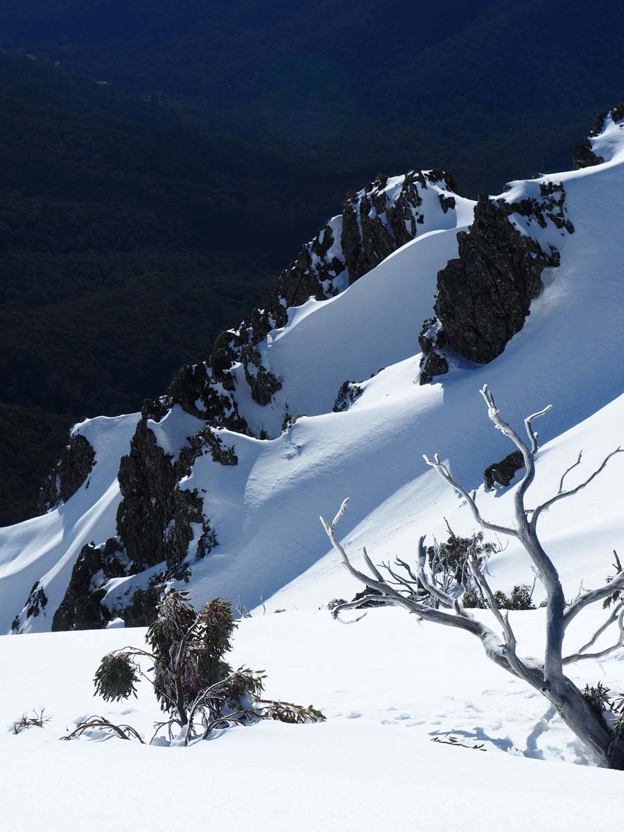 Mount bogong staircase spur hike 100